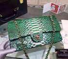 2015 Chanel 2.55 Series Flap Bag Python Leather A1112 Green&White with Gold A1112