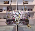 2015 Chanel 2.55 Series Flap Bag Python Leather A1112 Multicolor with Gold A1112