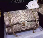 2015 Chanel 2.55 Series Flap Bag Python Leather A1112 White with Gold A1112
