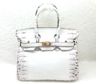 2015 Hermes Birkin 25cm Crocodile stripes Leather Handbag H25 White H25