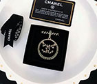 2018 Chanel Brooch CJ0191