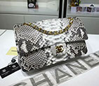2018 Chanel Classic Flap Bag Original Python Leather 1112