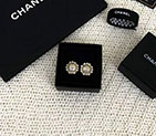 2018 Chanel Earrings CJ0401