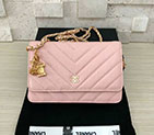 2018 Chanel WOC A33815 A33815