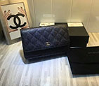 2018 Chanel WOC Mini Flap Bag A33814