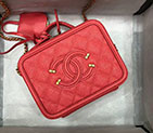 2019 Chanel Small Vanity Case A93342