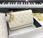 2019 Chanel WOC A33814 Mini Flap Bag A33814