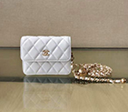 2020 Chanel clutch with chain AP1628