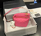 2020 chanel Medium hobo bag AS1746