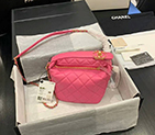 2020 chanel Small hobo bag AS1745