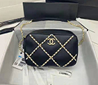 2021 Chanel camera case AS2384