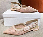 2021 Dior women shoes DSW0529