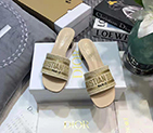 2021 Dior women shoes DSW0627