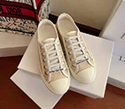 2021 Dior women shoes DSW0583