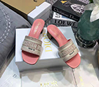 2021 Dior women shoes DSW0629