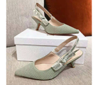 2021 Dior women shoes DSW0527