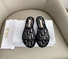 2021 Dior women shoes DSW0590