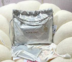 2022 Chanel 22 Handbag AS3261