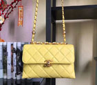 2022 Chanel Small Flap Bag AS3011