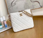 2022 Chanel Small Hobo Bag AS3223