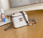 2022 Chanel Small Vanity With Chanin A81193