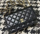 2022 Chanel WALLET ON CHAIN AP3009