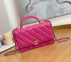 2022 chanel Flap Bag With Top Handle A81207