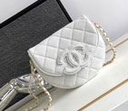 2023 Chanel Messenger Bag AS3867
