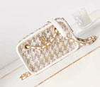 2023 Chanel SMALL CAMERA CASE AS3768