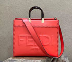 2023 Fendi Sunshine Medium 8535