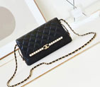 2024 CHANEL Clutch bag AS4452