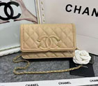 2024 Chanel 19 WOC Mini Flap Bag 82003