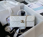 2024 Chanel BOX BAG AS4471