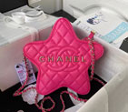 2024 Chanel STAR HANDBAG AS4579