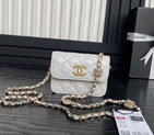 2025 Chanel CLUTCH WITH CHAIN AP4315
