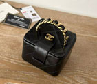 2025 Chanel COSMETIC BAG A2227