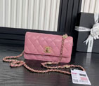 2025 Chanel WALLET ON CHAIN AP4300