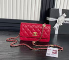 2025 Chanel WALLET ON CHAIN AP4300