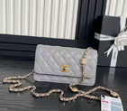 2025 Chanel WALLET ON CHAIN AP4300