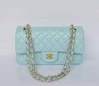 Chanel 2.55 Classic Flap Bag lake Green Sheepskin Leather Gold 1112
