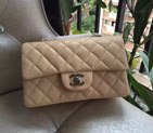 Chanel Classic Flap Bags Original Caviar Leather A1116 in Apricot with Silver A1116