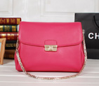 Dior DIORLING Bag Calf Leather D52281 Rose D52281