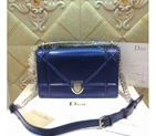 Diorama flap bag D0422