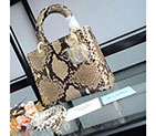 Lady Dior Bag Python leather D1655 D1655