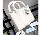 Lady Dior Bag Python leather D1655 D1655