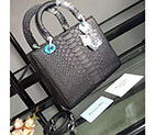 Lady Dior Bag Python leather D1655 D1655