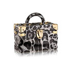 Louis Vuitton City Trunk PM Monogram Printed M53004 M53004