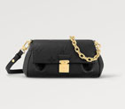 Louis vuitton FAVORITE M45813