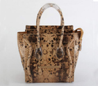 Celine Luggage Bags Medium in Snake Veins Apricot 98169
