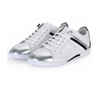 dior men shoes DSM0001